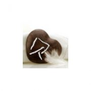 ÿĴͷԴһƬհףƽ_www.haokanqq.com