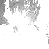 ɰ̬ͷû̫-_www.haokanqq.com