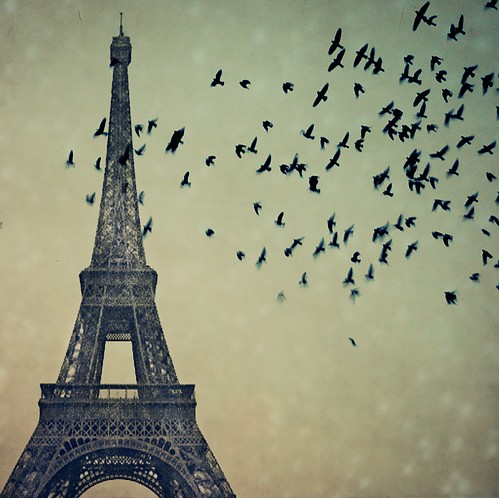 eiffel tower themes tumblr æ¬§ç¾Žé£Žæƒ…QQå”¯ç¾Žå›¾ç‰‡ï¼Œæˆ‘å–œæ¬¢å’Œä½ åŒæ¡Œçš„æ„Ÿè§‰ï¼Œä¸çŸ¥é“æ˜¯ä¸æ˜¯ç¼˜åˆ†(2) qqå¤‡æ³¨