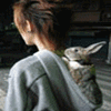 2012QQ̬ͷȫ绨£ֲˮ_www.haokanqq.com