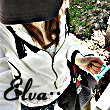 2012QQ̬ͷȫ绨£ֲˮ_www.haokanqq.com