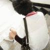 qqռ䶯̬ͷȫЩȡ_www.haokanqq.com