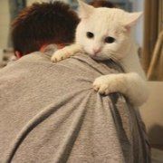 Ψͷȫ뿪˼_www.haokanqq.com